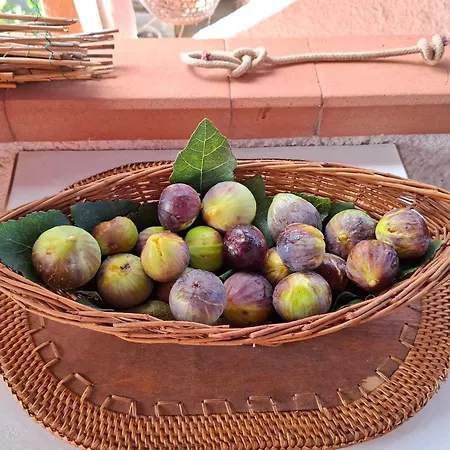 Bed & Breakfast La Reale Stintino