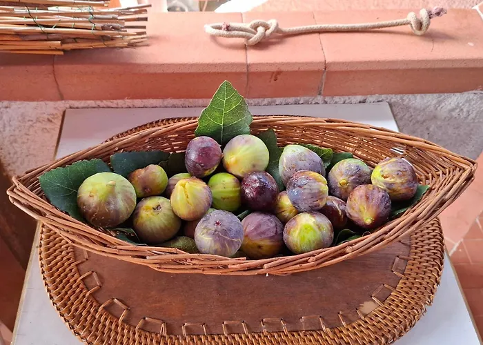 Panzió La Reale Stintino